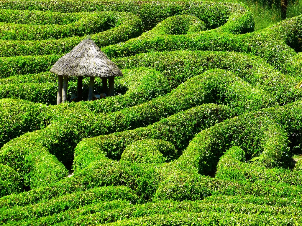 A garden maze with small hut